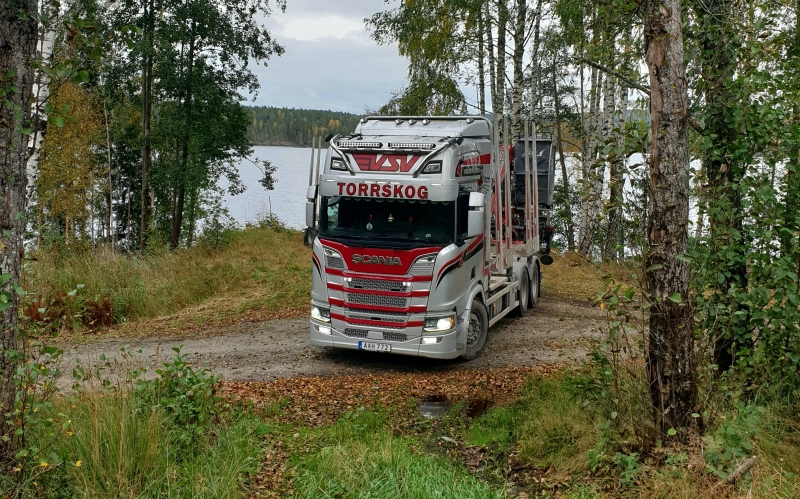 Scania R730 2017